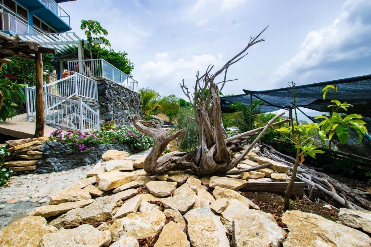 Onyx-- A Gem At Dee'S Pearl Villa Carriacou Buitenkant foto